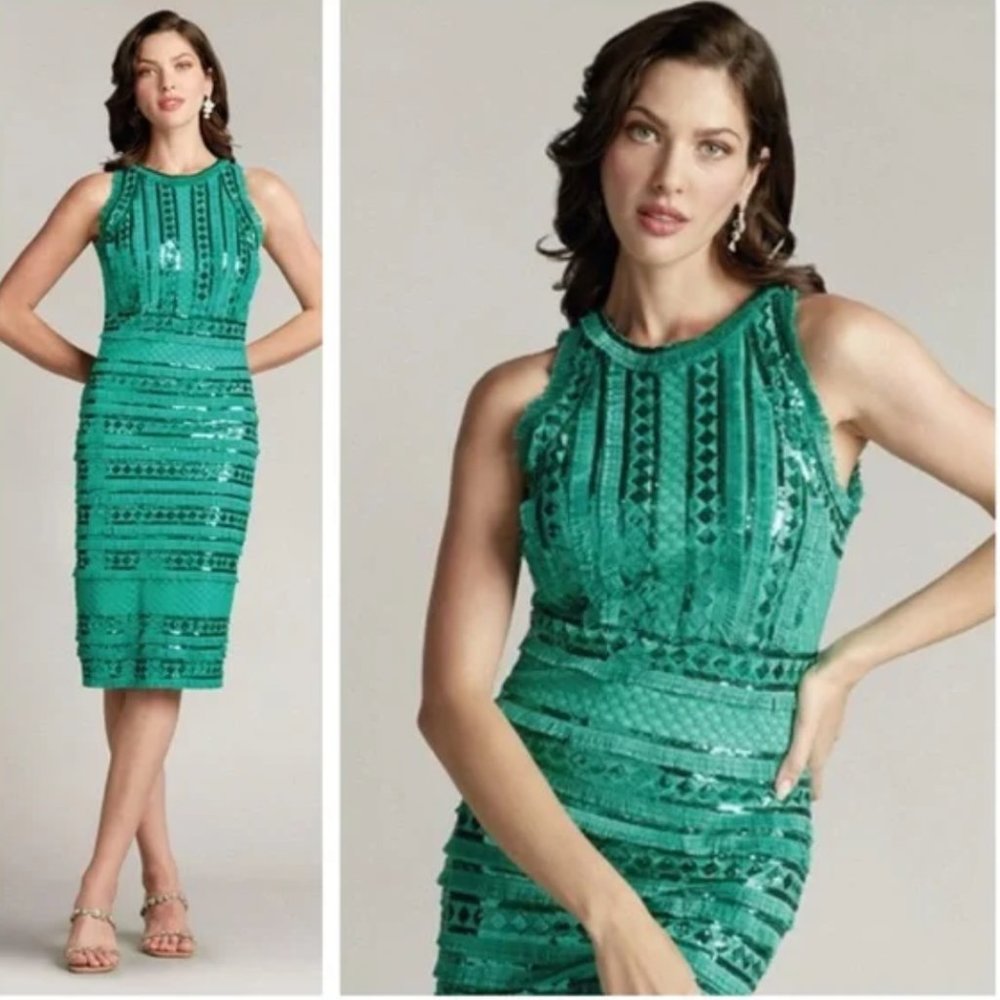 NWT Tadashi Shoji Norma Round Neck Sleeveless Sequin Fringe A-Line Midi …